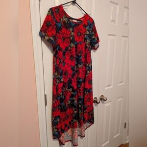 LuLaRoe Blue Geo/Red Floral Carly Dress L